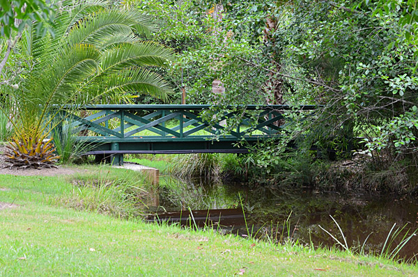 New mogo water garden bridge