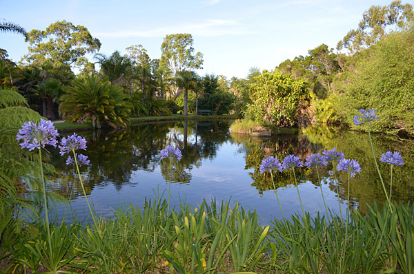 Water garden island