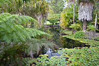 Garden steps